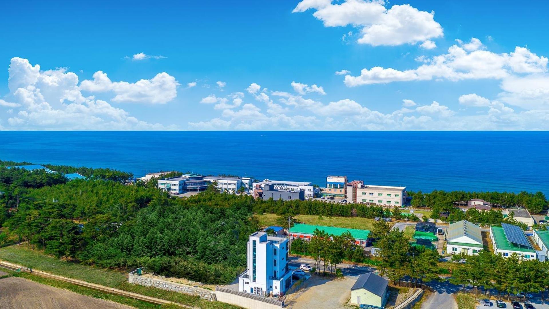 Gangneung Hello 4000 Pension Dış mekan fotoğraf